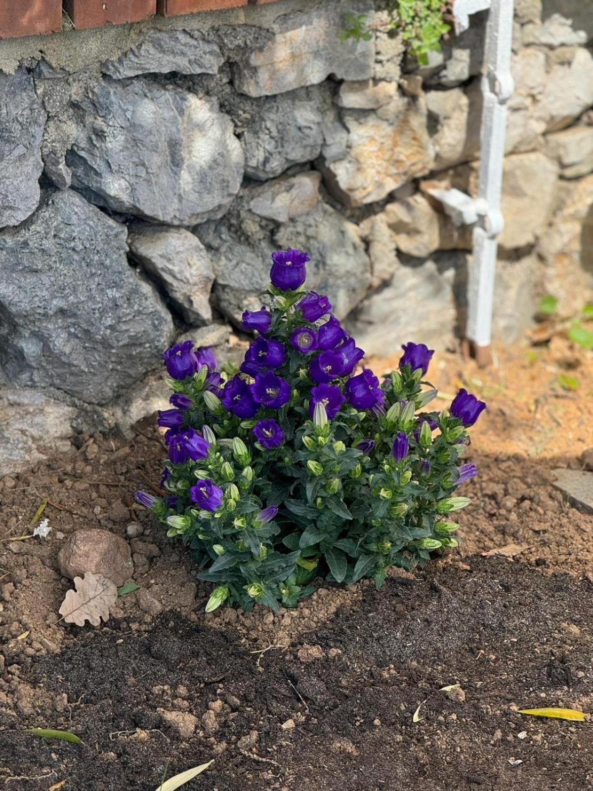 Bellavista Villa Savona Kültér fotó